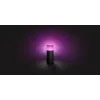 Philips Hue White and colour ambience Calla vonkajšia stojacia lampa