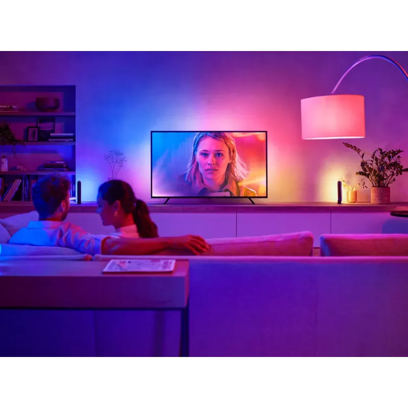 Philips Hue White and Colour Ambience Play Gradient Lightstrip 55 inch