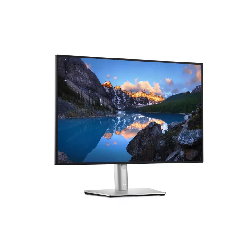 DELL UltraSharp U2421E počítačový monitor 61,2 cm (24,1 palca) 1920 x 1200 pixelov WUXGA LCD strieborný