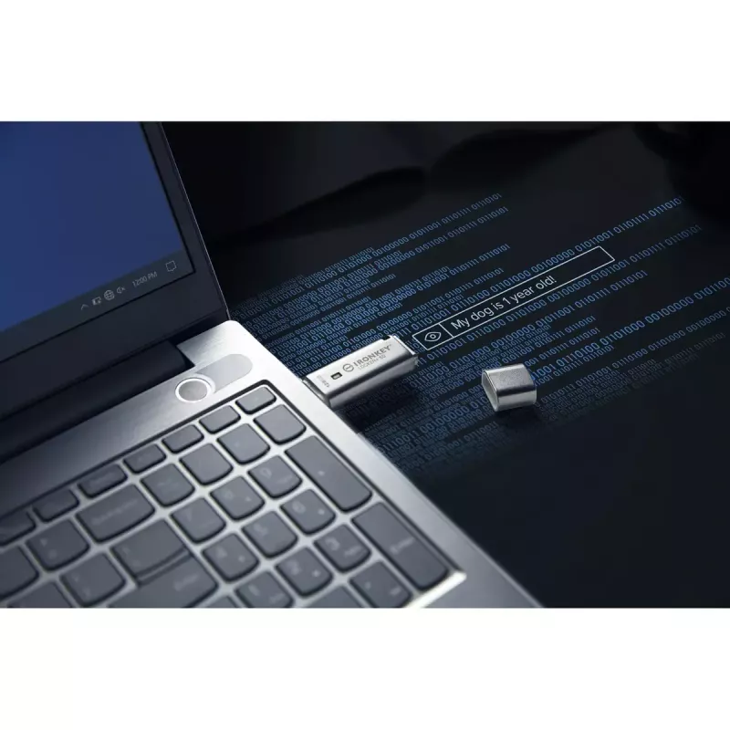 Kingston Technology IronKey 128GB IKLP50 AES USB so 256-bitovým šifrovaním