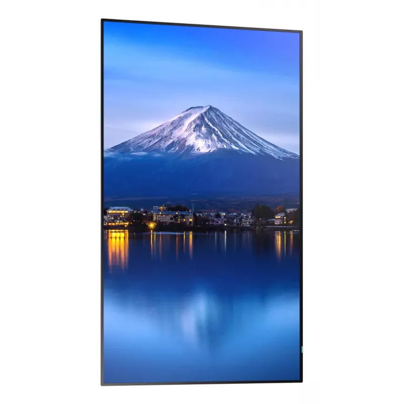 Sharp MultiSync P656 kiosk dizajn 163,8 cm (64,5