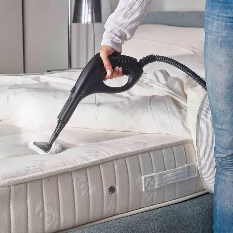 Polti Vaporetto Smart 30_S Valcový parný čistič 1,6 L 1800 W Sivá, Biela