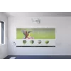 Epson EB-1485Fi Ultra-krátka projekcia 5000 ANSI lumen 3LCD 1080p (1920x1080) biela