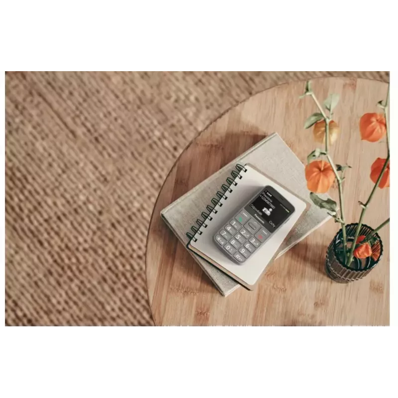 Mobilný telefón Panasonic KX-TU160 2,4 palca