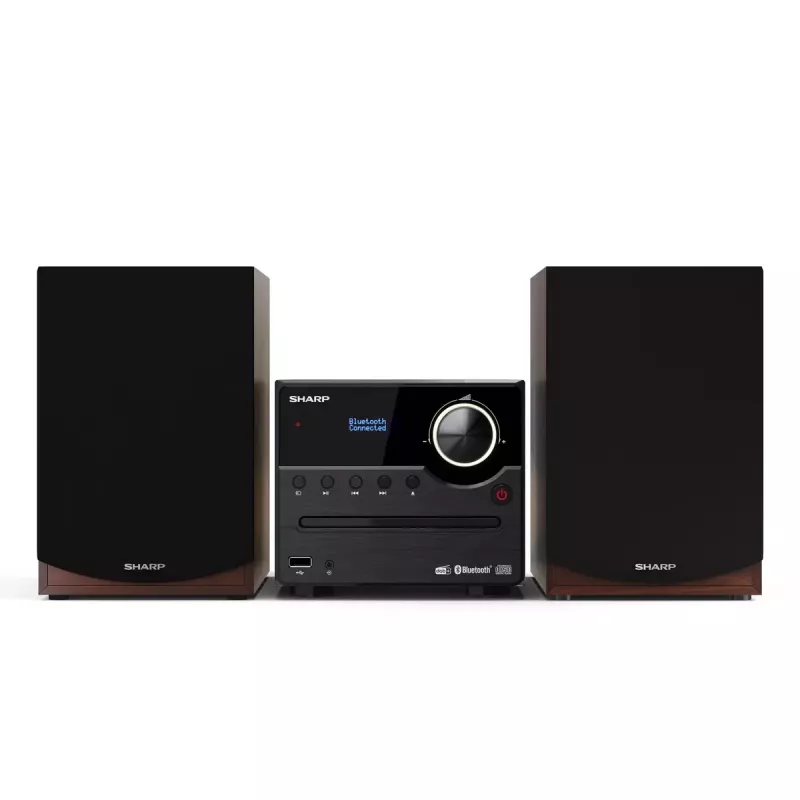 Sharp XL-B517D domáci audio mikrosystém 45 W hnedý