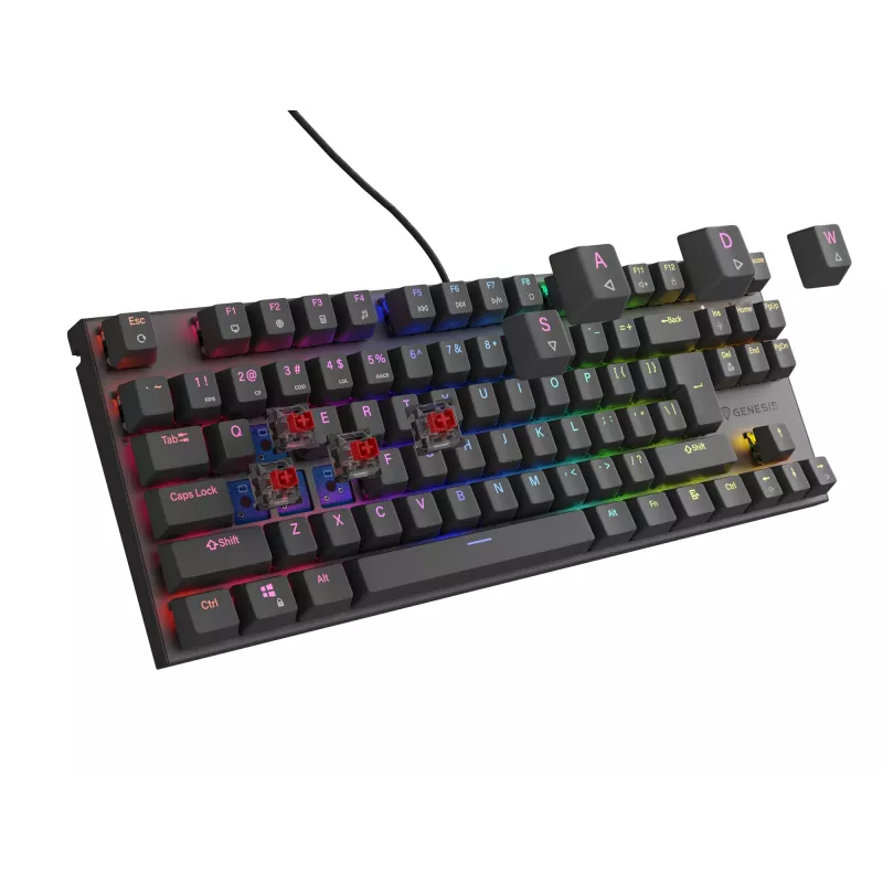 GENESIS Thor 303 TKL klávesnica herná USB QWERTY čierna RGB LED
