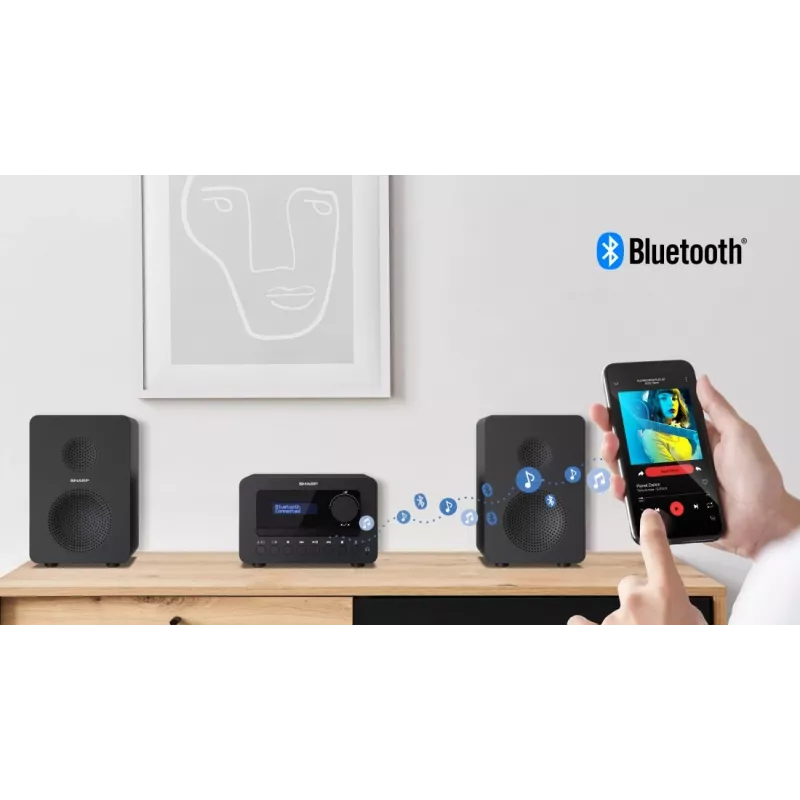 Sharp TOKYO DAB+ HI-FI Micro System domáci audio mikrosystém 40 W čierny