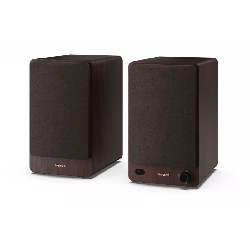 Sharp regálové reproduktory 2-pásmové hnedé káblové & bezdrôtové 60 W