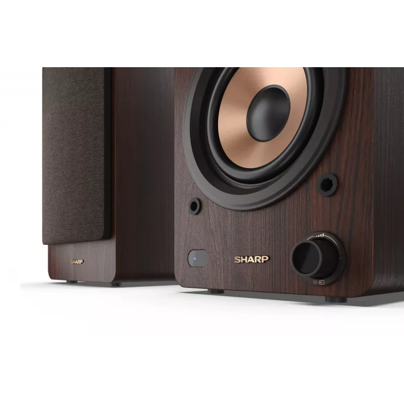 Sharp regálové reproduktory 2-pásmové hnedé káblové & bezdrôtové 60 W