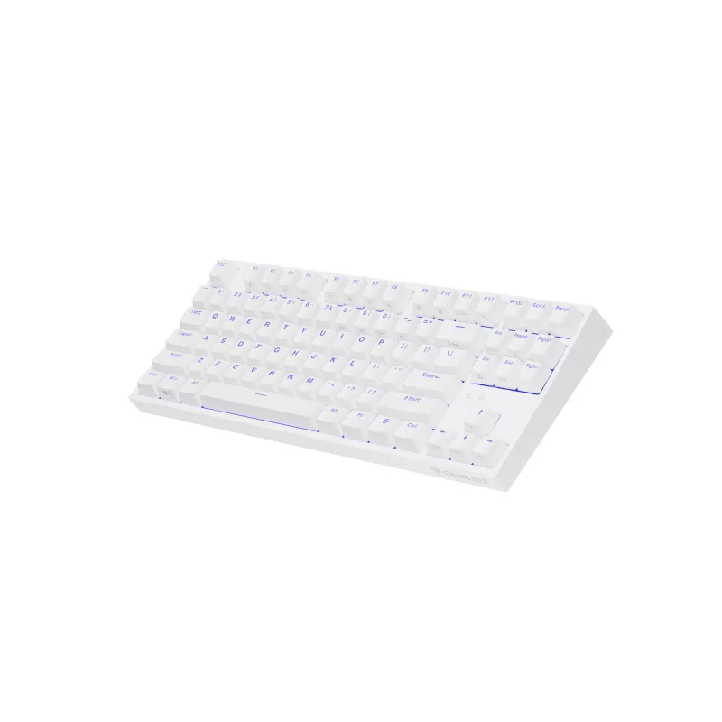 GENESIS Thor 404 TKL klávesnica herná USB QWERTY US International biela