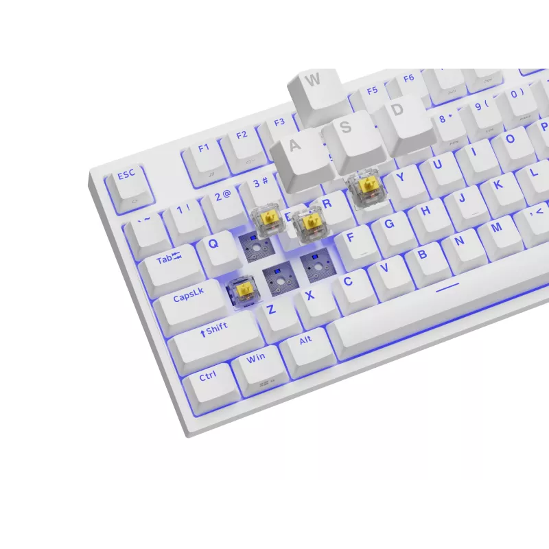 GENESIS Thor 404 TKL klávesnica herná USB QWERTY US International biela