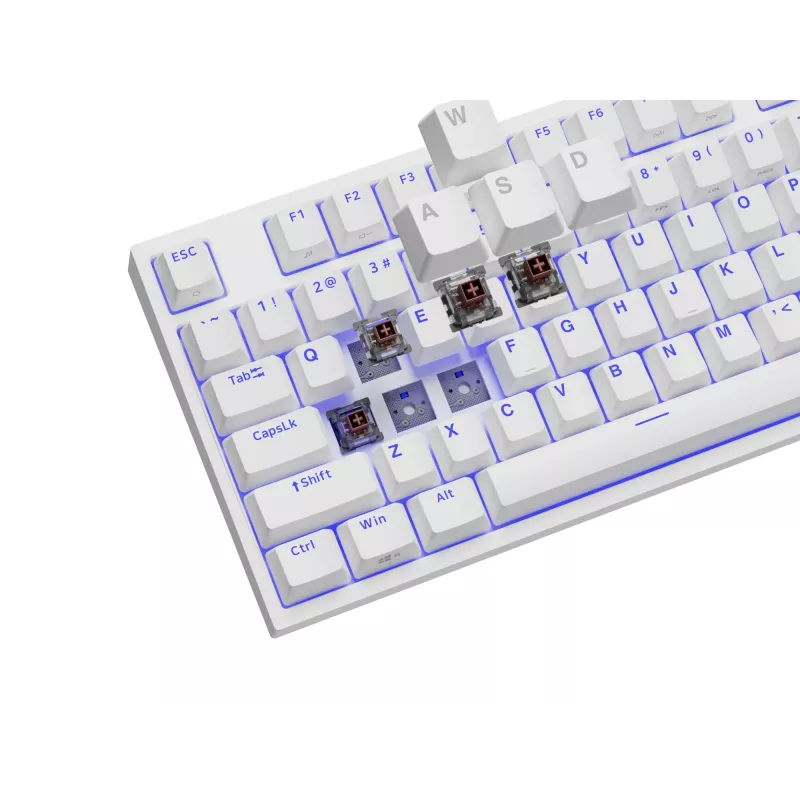 GENESIS Thor 404 TKL klávesnica herná USB QWERTY US International biela