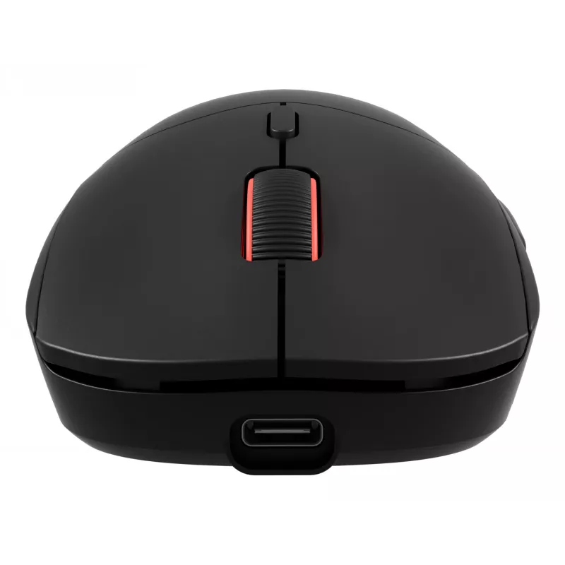 GENESIS Zircon XIII myš Gaming obojručná RF Wireless + USB Type-C optická 26000 DPI