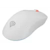 GENESIS Zircon XIII myš Gaming obojručná RF Wireless + USB Type-C optická 26000 DPI