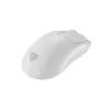 GENESIS Zircon 500 myš Gaming pravácka RF Wireless + Bluetooth + USB Type-C optická 10000 DPI