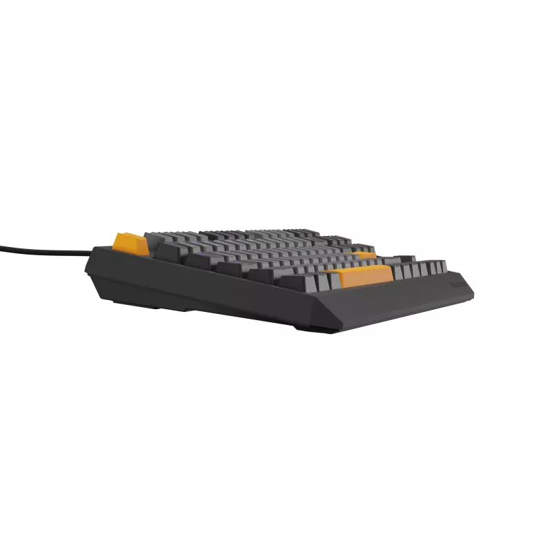 Genesis Thor 230 TKL drôtová mechanická herná klávesnica, US, Anchor Gray Negative, Outemu Red