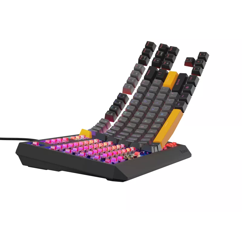 Genesis Thor 230 TKL drôtová mechanická herná klávesnica, US, Anchor Gray Negative, Outemu Red