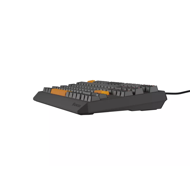 Genesis Thor 230 TKL drôtová mechanická herná klávesnica, US, Anchor Gray Negative, Outemu Red