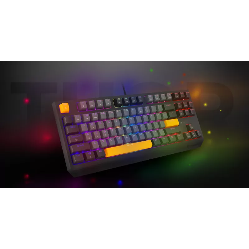 Genesis Thor 230 TKL drôtová mechanická herná klávesnica, US, Anchor Gray Negative, Outemu Red