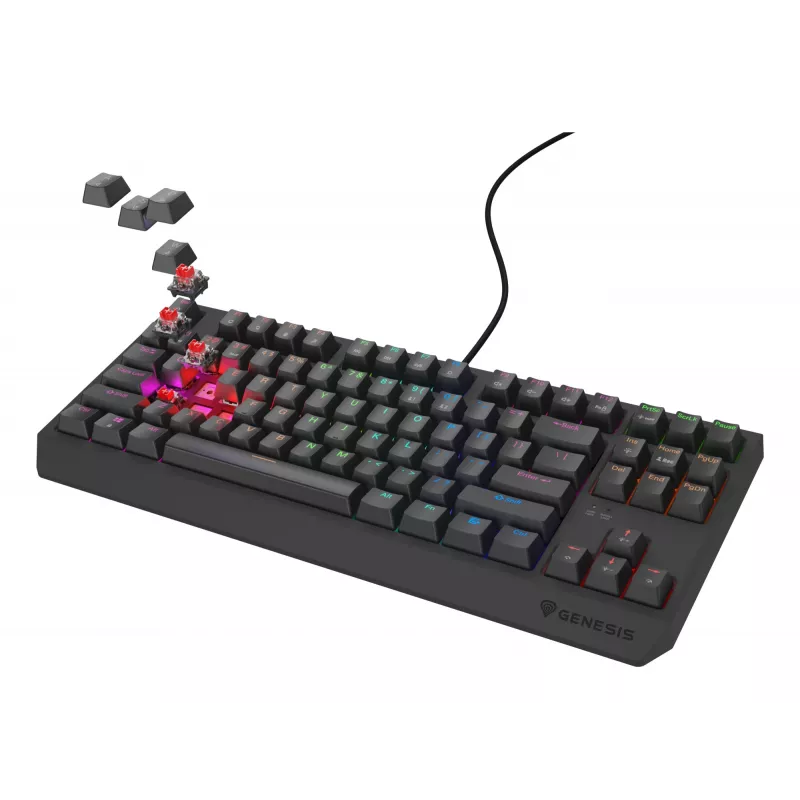 GENESIS Thor 230 TKL Lite klávesnica Gaming USB QWERTY anglická čierna