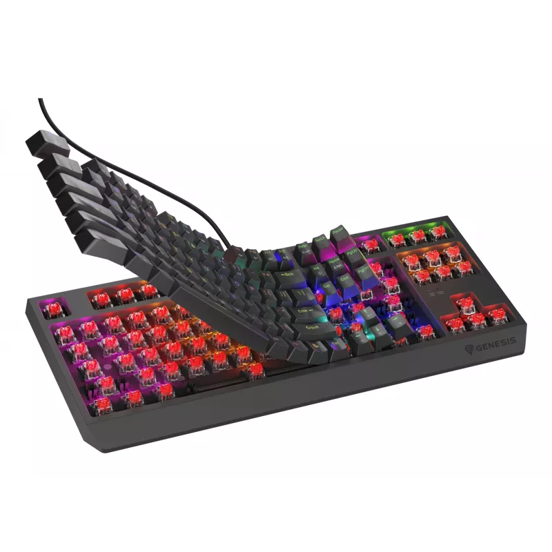 GENESIS Thor 230 TKL Lite klávesnica Gaming USB QWERTY anglická čierna