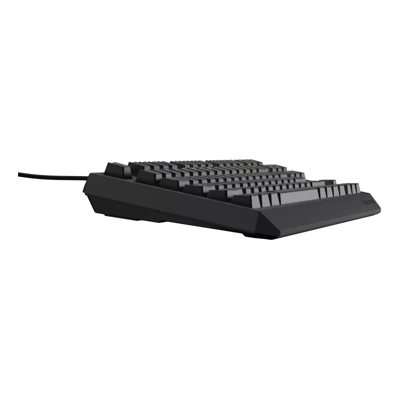 GENESIS Thor 230 TKL Lite klávesnica Gaming USB QWERTY anglická čierna