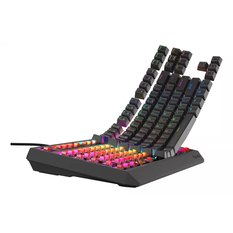 GENESIS Thor 230 TKL Lite klávesnica Gaming USB QWERTY anglická čierna