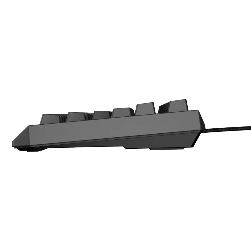GENESIS Thor 230 TKL Lite klávesnica Gaming USB QWERTY anglická čierna