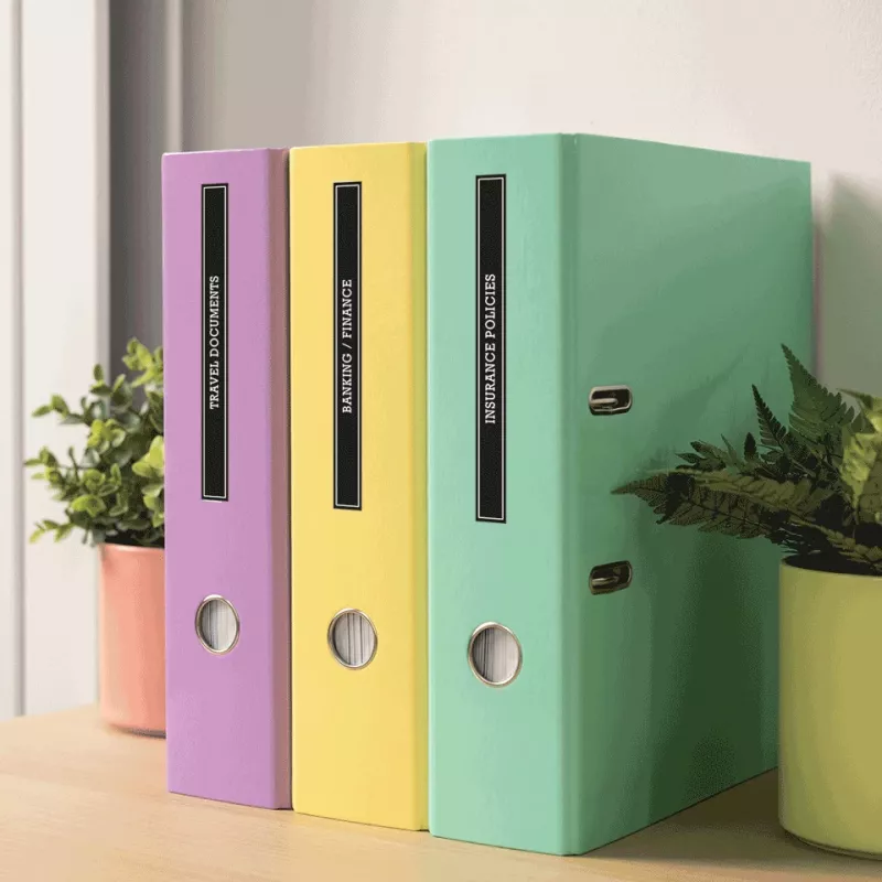 Brother PT-N25BT tlačiareň etikiet termálna farebná 180 x 180 DPI 12 mm/s bezdrôtová Bluetooth