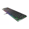 GENESIS Thor 420 RGB klávesnica herná USB QWERTY US International strieborná