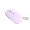 ASUS Marshmallow MD100 myš kancelárska obojručná RF bezdrôtová + Bluetooth optická 1600 DPI