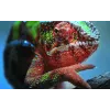 Epson EH-TW7100 štandardný projektor 3000 ANSI lumenov 3LCD UHD 4K (3840x2160) 3D biely