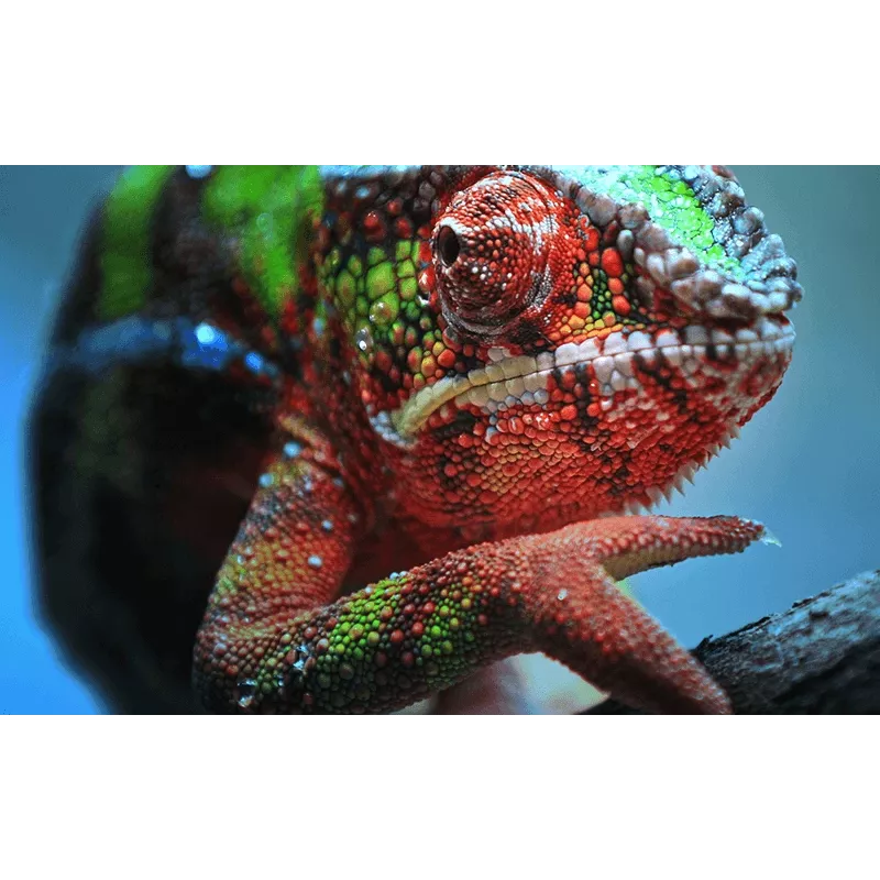 Epson EH-TW7100 štandardný projektor 3000 ANSI lumenov 3LCD UHD 4K (3840x2160) 3D biely