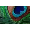 Epson EH-TW7000 štandardný projektor 3000 ANSI lumenov 3LCD UHD 4K (3840x2160) 3D biely