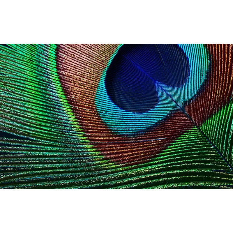 Epson EH-TW7000 štandardný projektor 3000 ANSI lumenov 3LCD UHD 4K (3840x2160) 3D biely