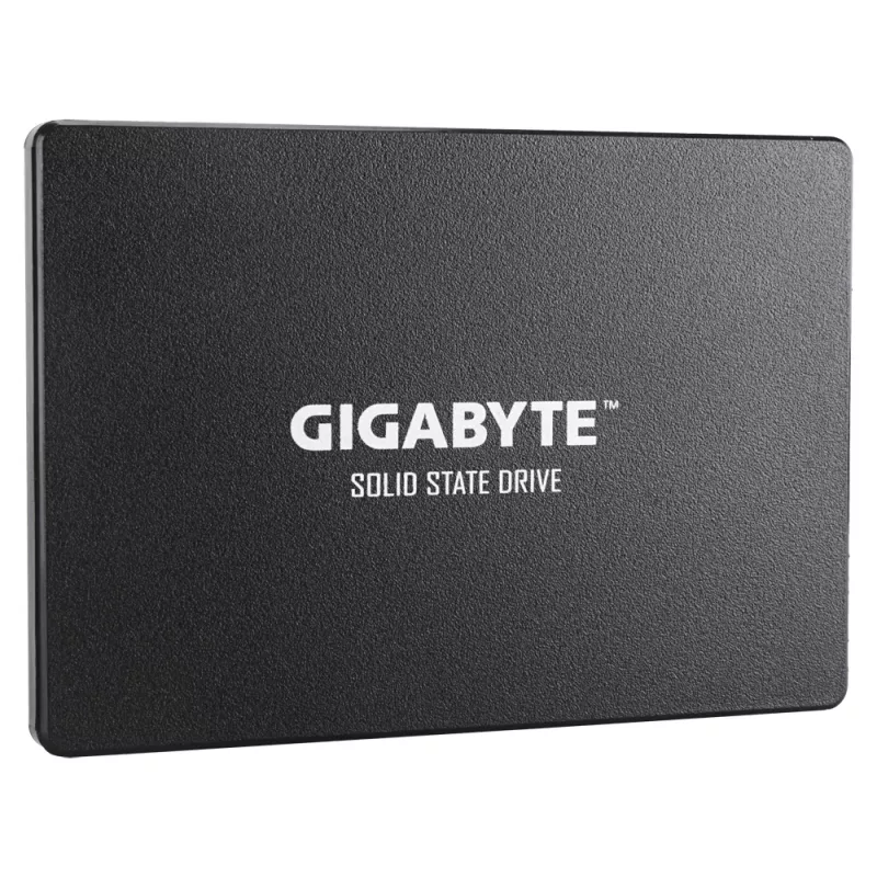 GIGABYTE GP-GSTFS31256GTND interný SSD disk 256 GB 2,5