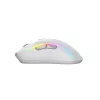 Glorious Gaming Glorious Model D 2 Wireless - matná biela, pravá ruka, RF Wireless, 19000 DPI, biela