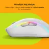 Glorious Gaming Glorious Model D 2 Wireless - matná biela, pravá ruka, RF Wireless, 19000 DPI, biela