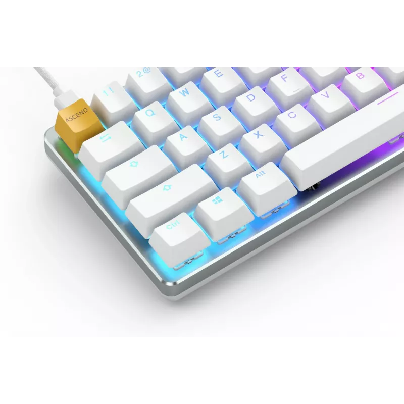 Glorious Gaming GMMK klávesnica USB QWERTY US International strieborná, biela
