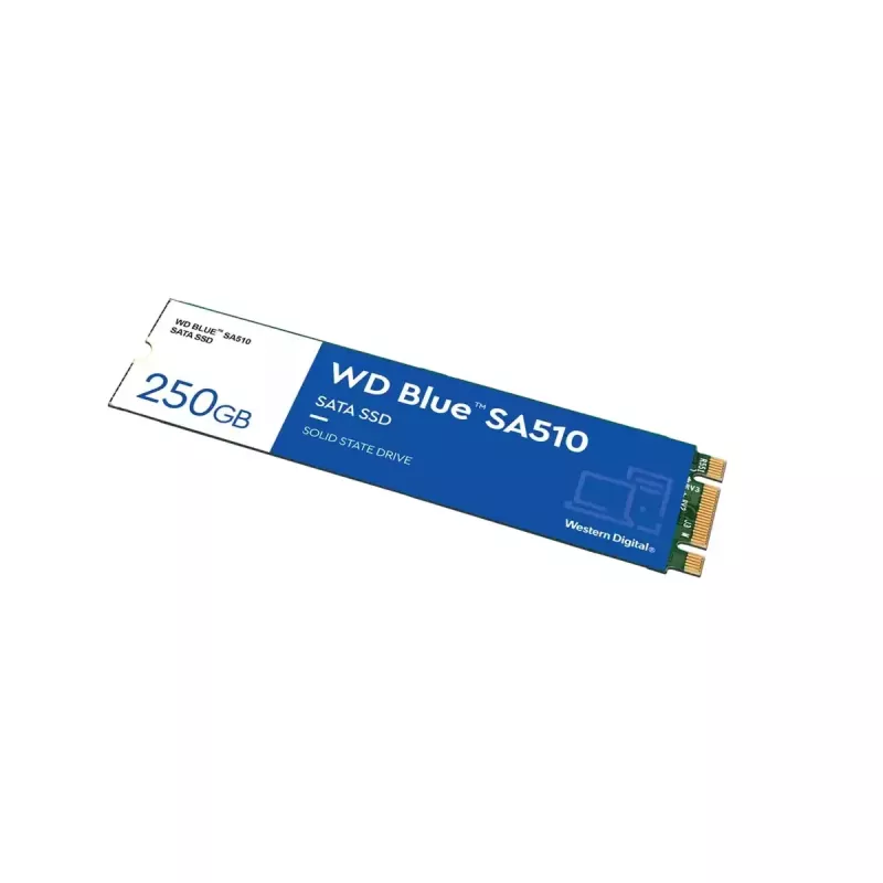 WESTERN DIGITAL SSD - WD Blue SA510 - 250GB - SATA 6Gb/s - M.2 2280