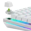 Glorious Gaming Glorious Raptor Clicky mechanické spínače – 36 kusov