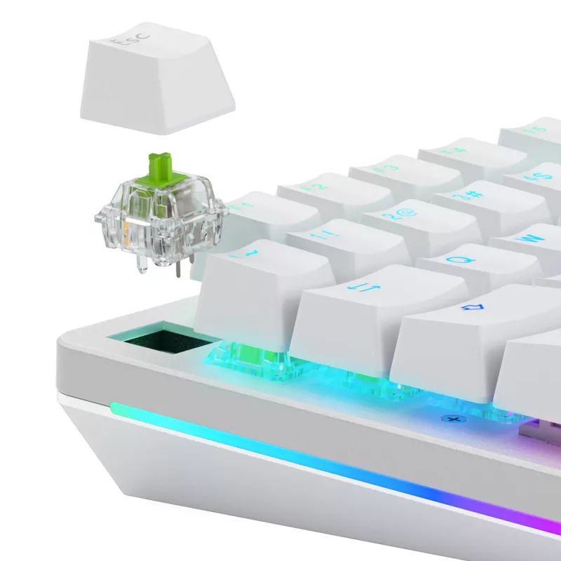 Glorious Gaming Glorious Raptor Clicky mechanické spínače – 36 kusov