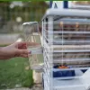 Ferplast Barn 80 klietka pre morčatá a králiky