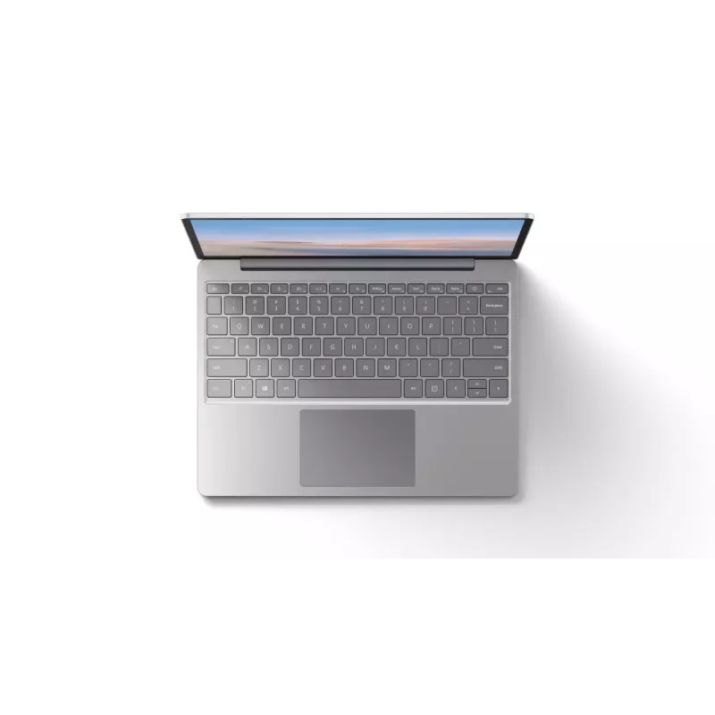 MICROSOFT Surface Laptop Go - 12,4 inch - i5 1035g1 - 8 GB RAM - 256 GB SSD - Win10 Pro - platinová - QWERTZ International - UHD Graphics