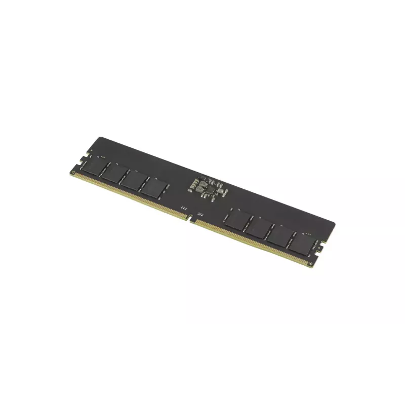 GOODRAM 16 GB DDR5-5600 CL46 DIMM pamäťový modul (GR5600D564L46S/16G)