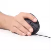 GEMBIRD optická myš MUS-ERGO-01 - ergonomická, 6 tlačidiel, koliesko, USB, čierna