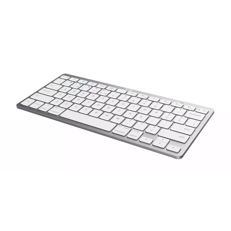 Trust 24651 bezdrôtová QWERTY US English klávesnica, strieborná
