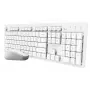 Trust Ody II klávesnica myš v cene Home/Office RF Wireless QWERTY US-anglická biela