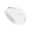 Trust Ozaa myš kancelária pravá ruka RF Wireless + Bluetooth optická 3200 DPI