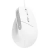 Trust Bayo II kancelárska myš pre pravákov USB Type-A optická 2400 DPI